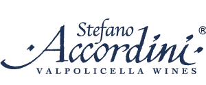 CONTATTI_LOGO_ACCORDINI_BLU